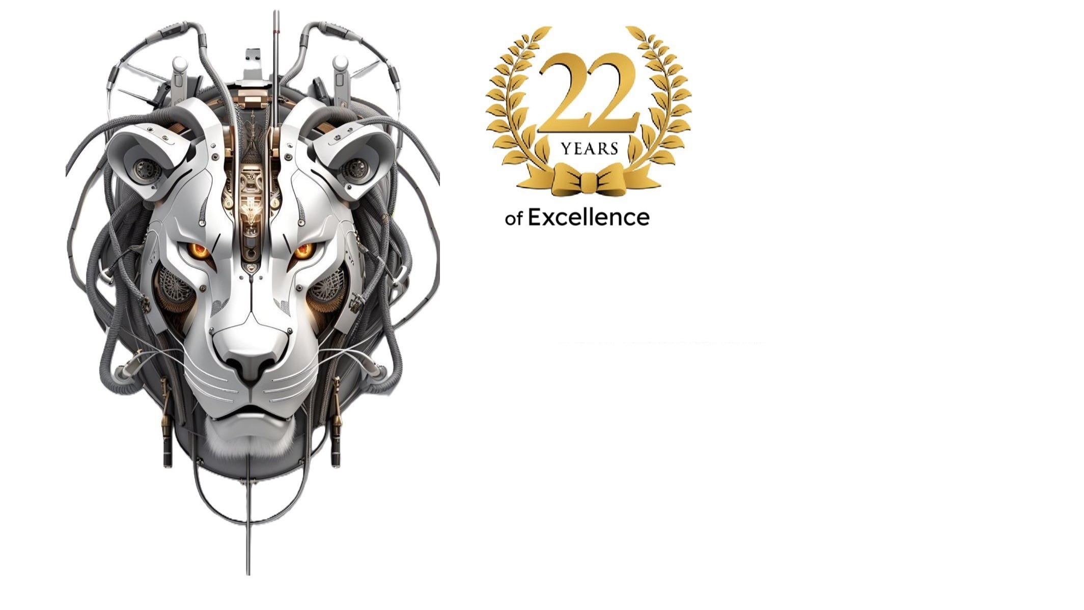 Main Banner Image 1